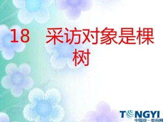 18采访对象是棵树课件