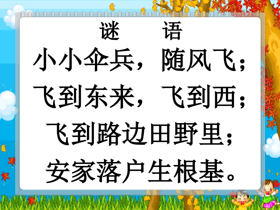 蒲公英课件 (2)_第1页