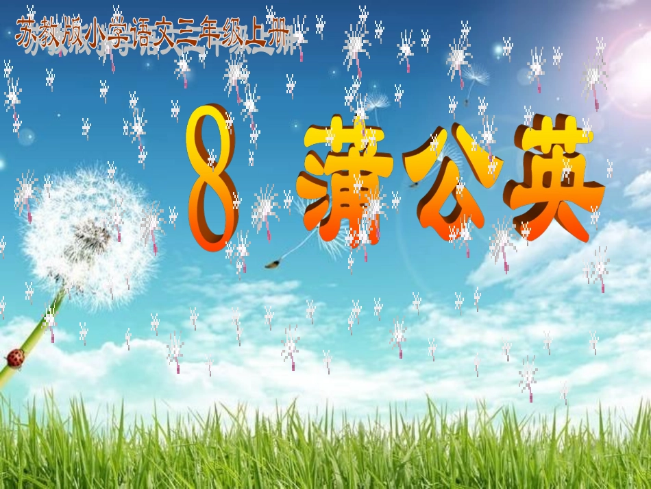 蒲公英课件 (2)_第2页