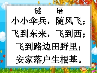 蒲公英课件 (2)