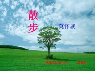 散步 (3)