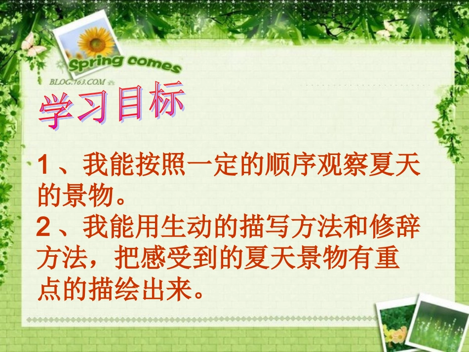 表达-美丽的夏天 (2)_第3页