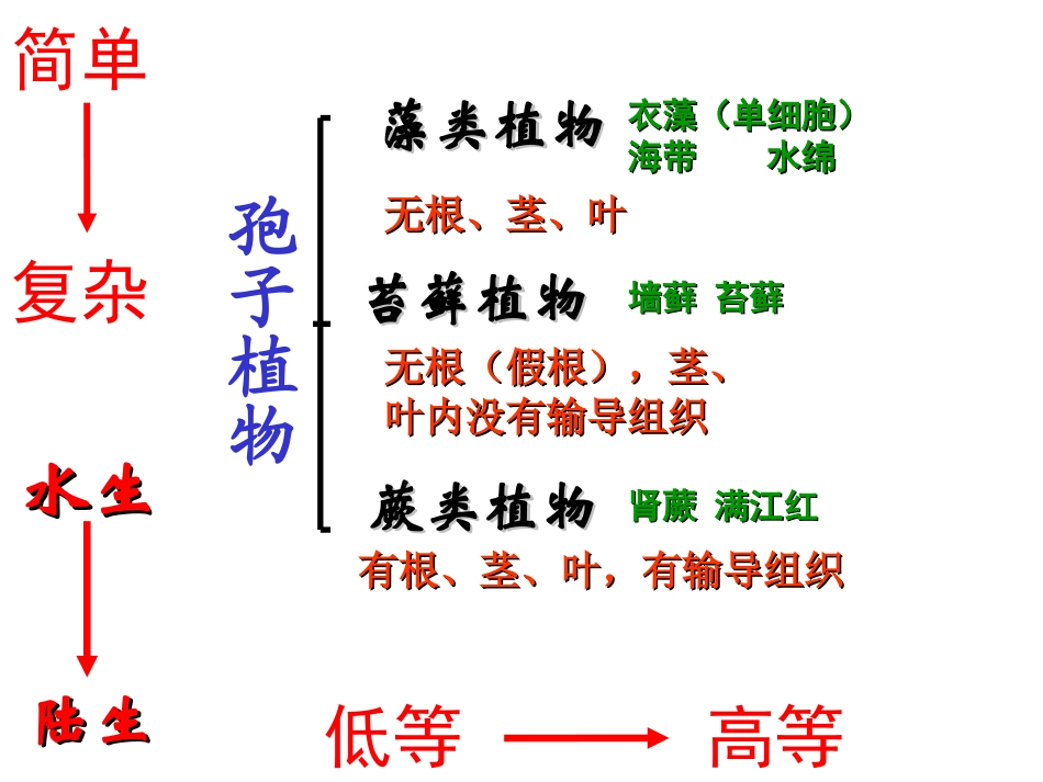 第二节种子植物 (2)_第2页