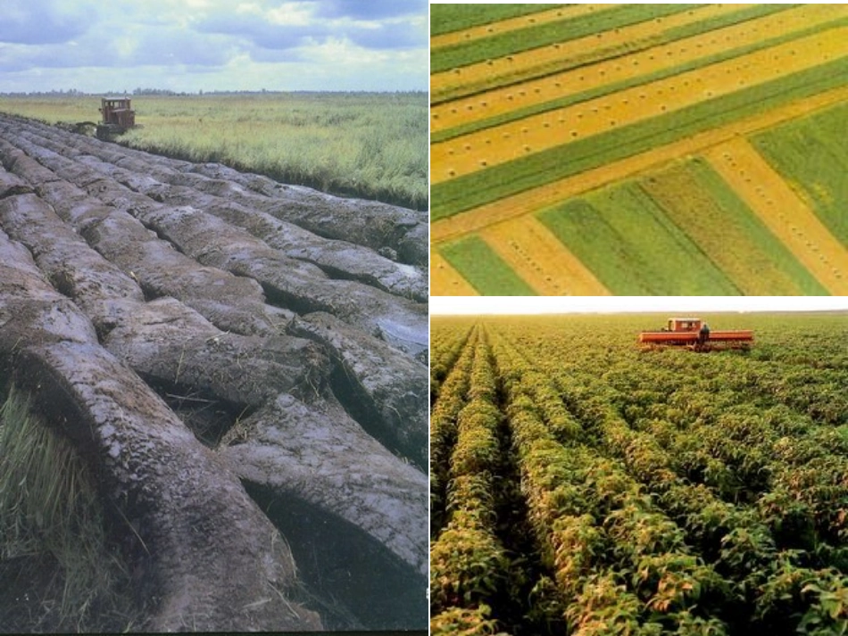 521复杂多样的地形 (2)_第2页