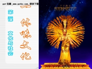 第一课第一框：体味文化
