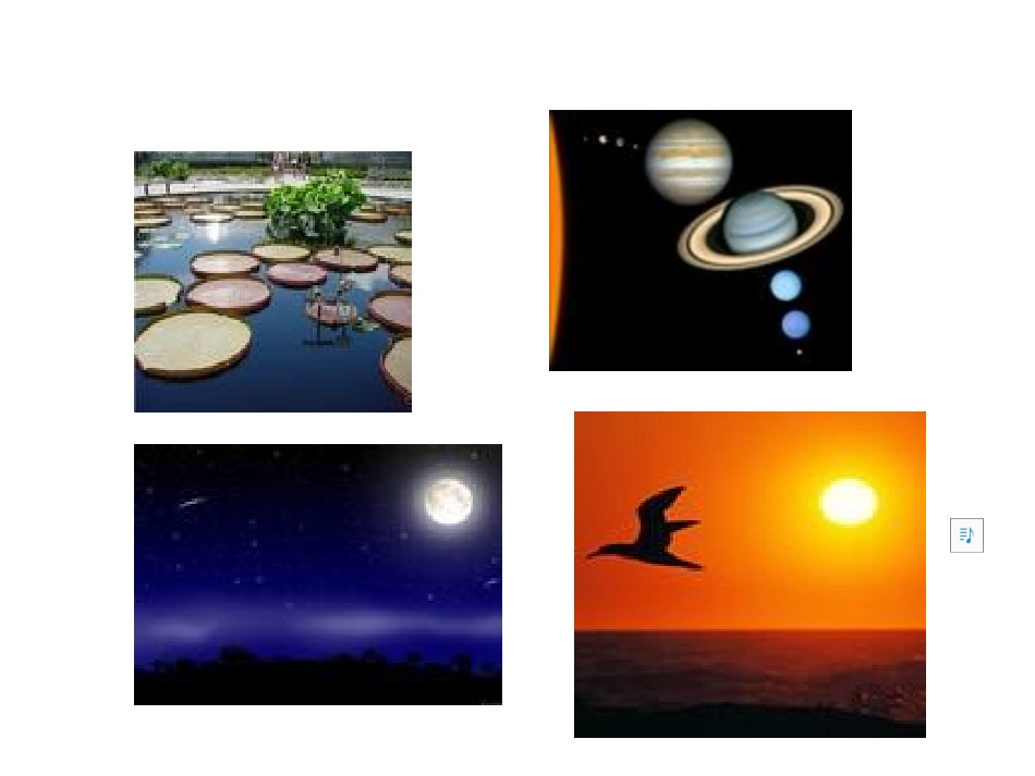 六年级数学上册4圆1认识圆第一课时课件_第2页
