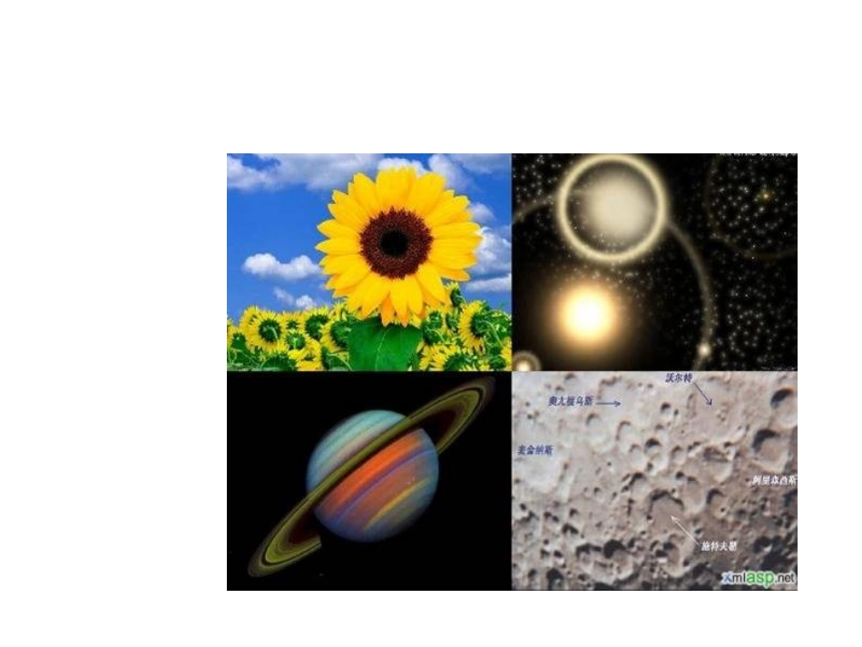 六年级数学上册4圆1认识圆第一课时课件_第3页