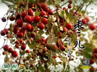 《枣儿》课件1