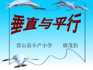 垂直与平行 (3)