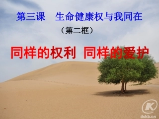 同样的权利同样的爱护实用性强