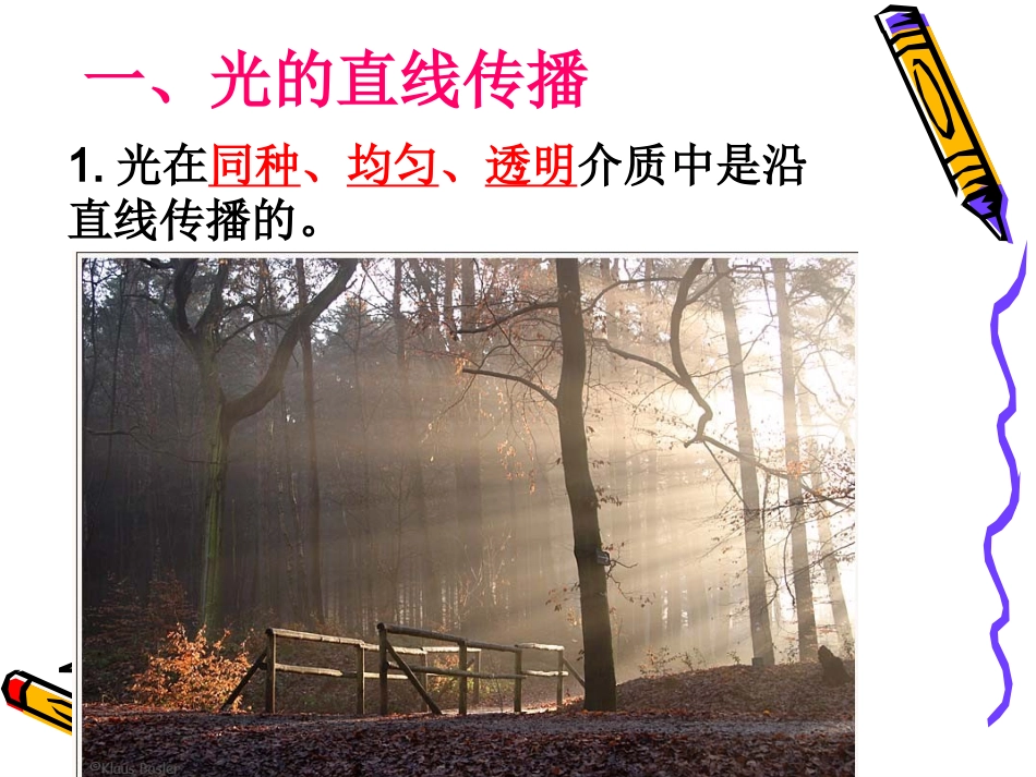 2015中考物理光学专题复习_第3页