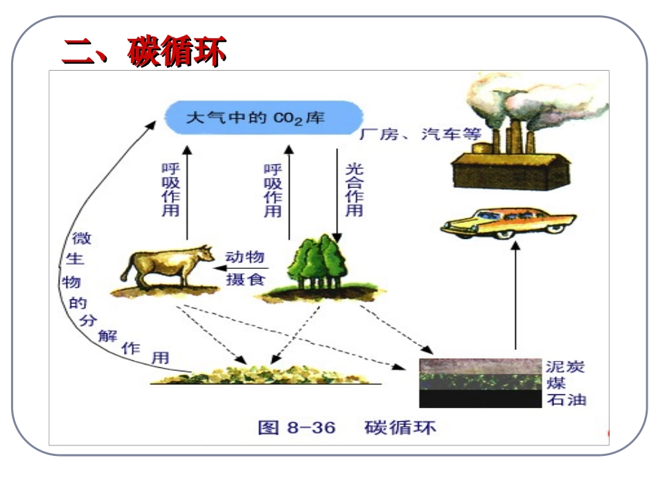 53生态系统的物质循环_第3页