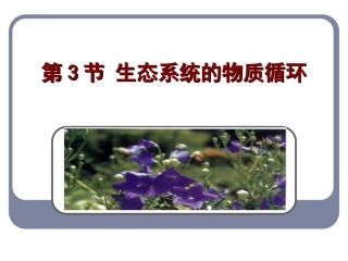 53生态系统的物质循环