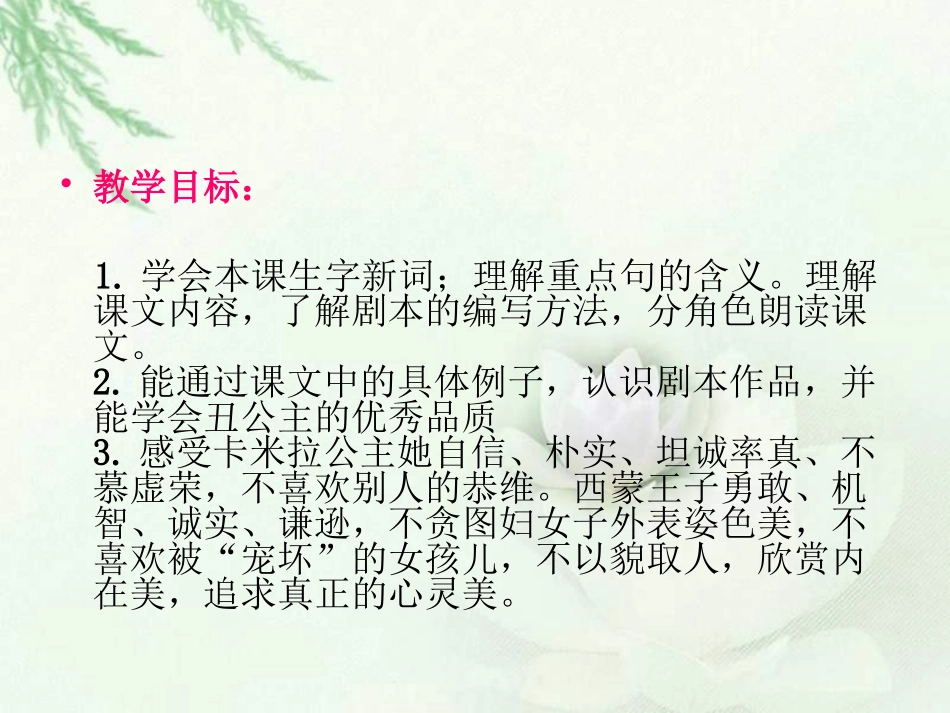 《丑公主》课件_第3页