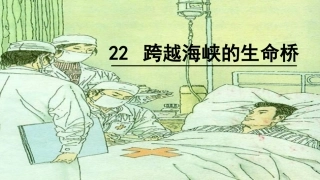 22跨越海峡的生命桥