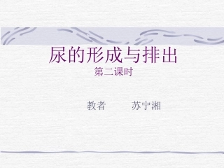 尿的形成和排出