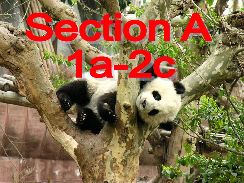Unit5SectionA课时1_第2页