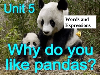 Unit5SectionA课时1