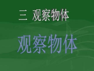 观察物体（3）