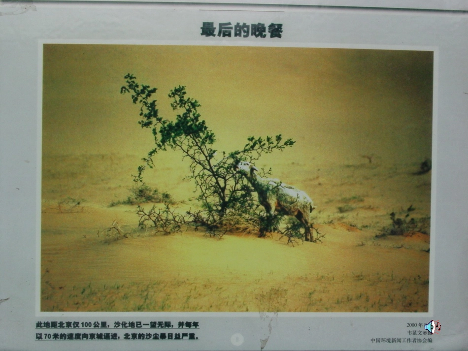 这儿真好课件_第3页