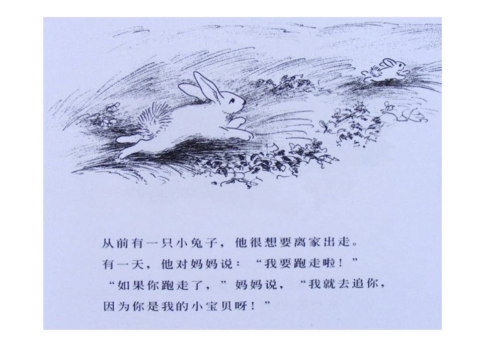 逃家小兔 (3)_第2页