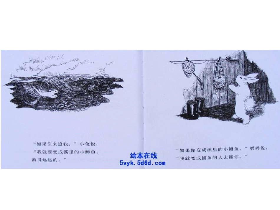 逃家小兔 (3)_第3页