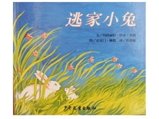 逃家小兔 (3)