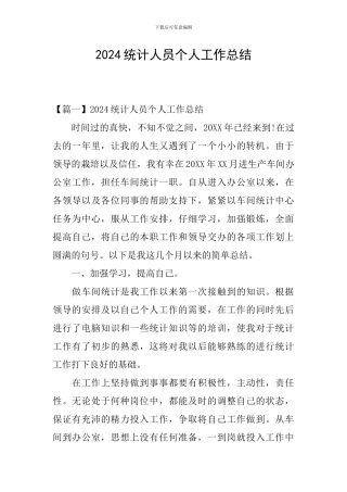 2024统计人员个人工作总结