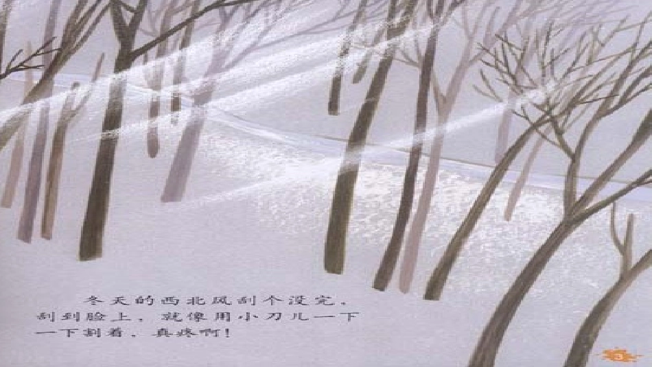 语言《两只棉手套》PPT课件_第3页