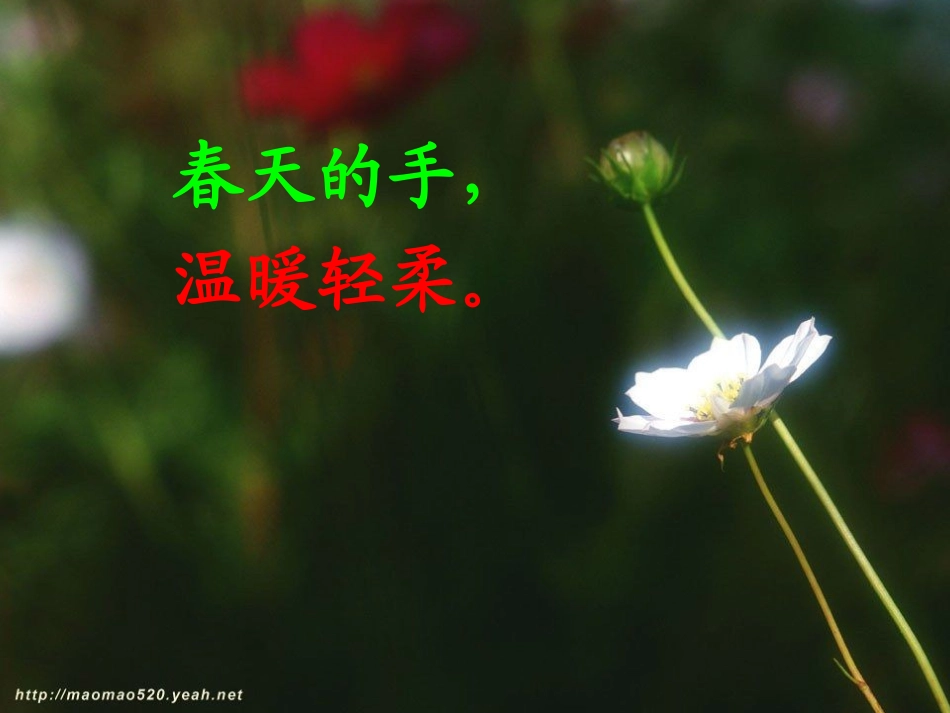 春天的手课件_第3页