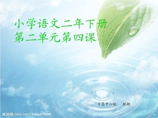 二年下册第二单元第四课 (2)