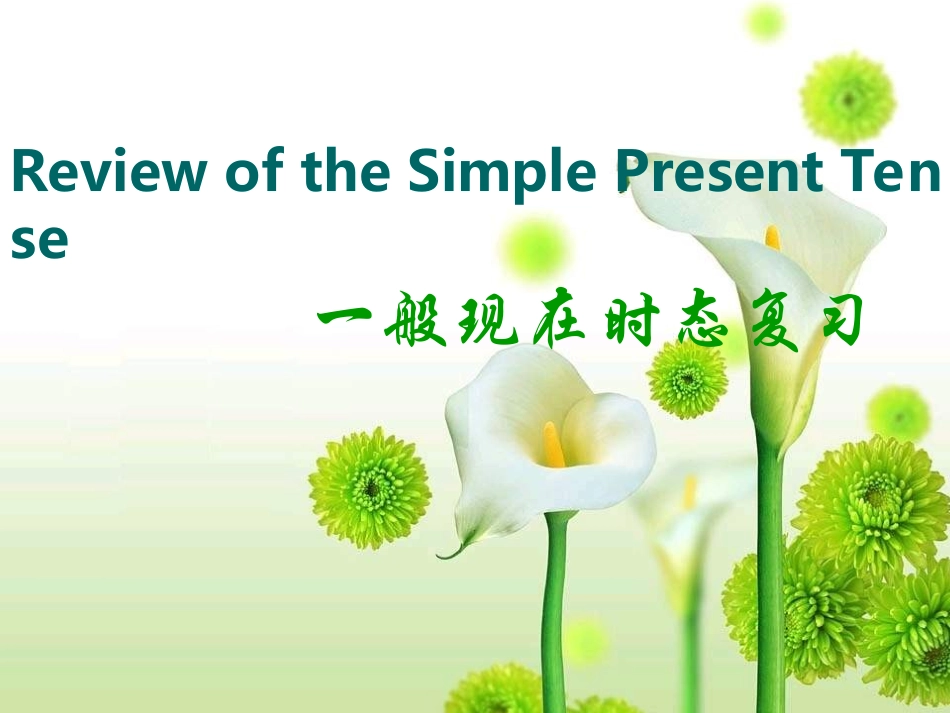 一般现在时态_第1页