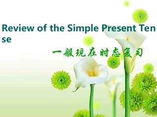 一般现在时态