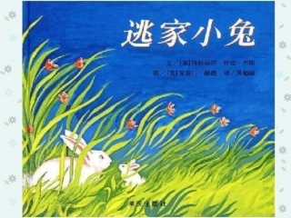逃家小兔 (4)