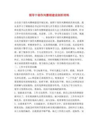 领导干部作风整顿建设剖析材料 