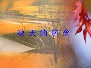 （语文S版）六年级语文课件秋天的怀念