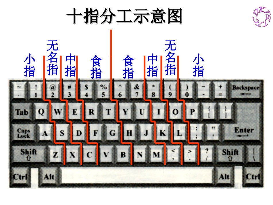 十指分工示意图_第1页