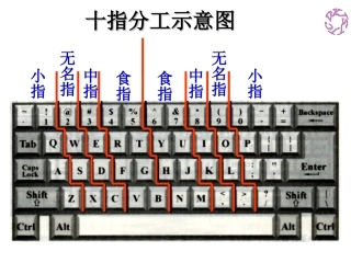 十指分工示意图