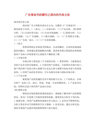 广告策划书的撰写之国内的代表主张 