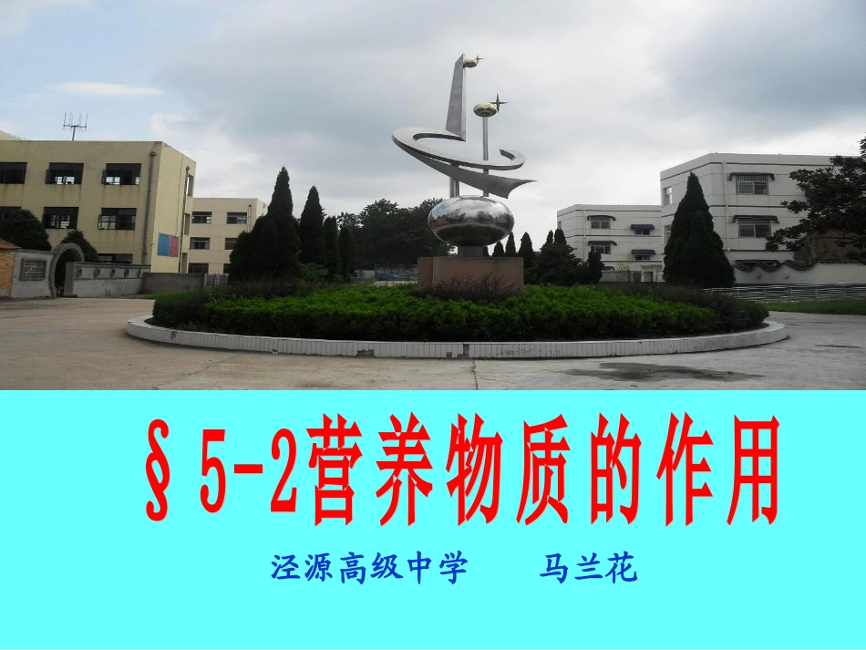 营养物质的作用_第1页