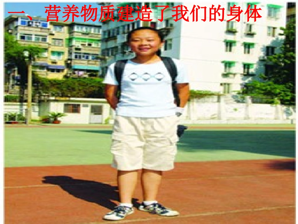 营养物质的作用_第2页