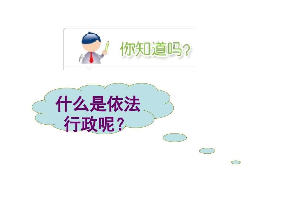 41政府的权力-依法行使_第3页