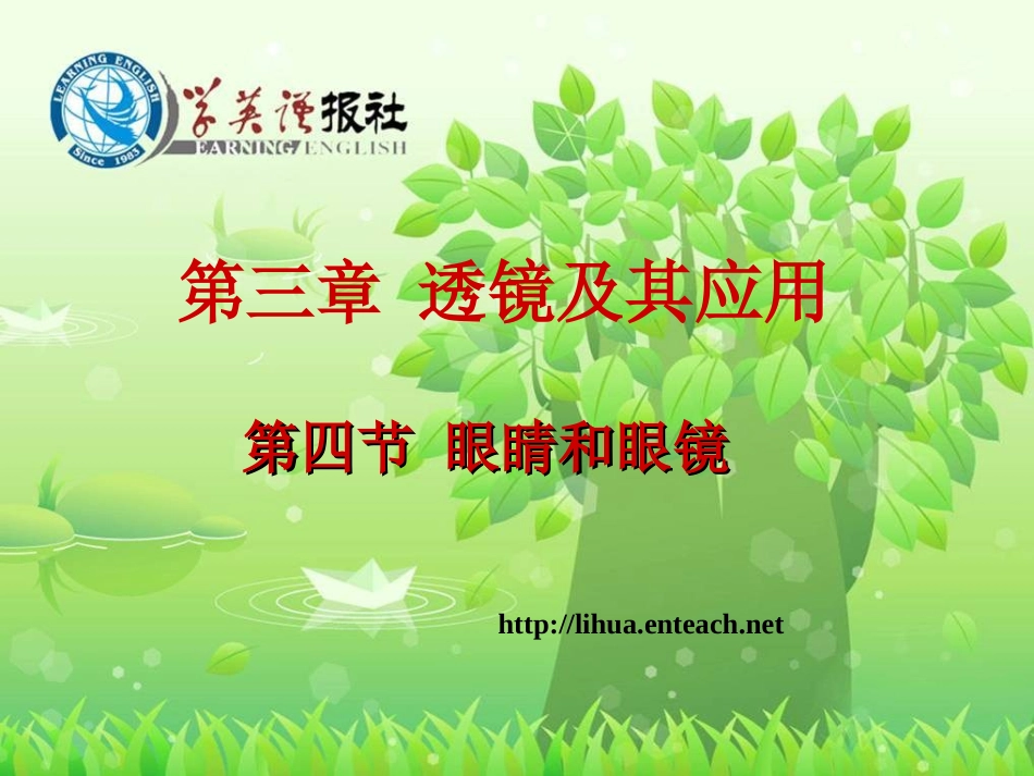 34眼睛和眼镜_第1页