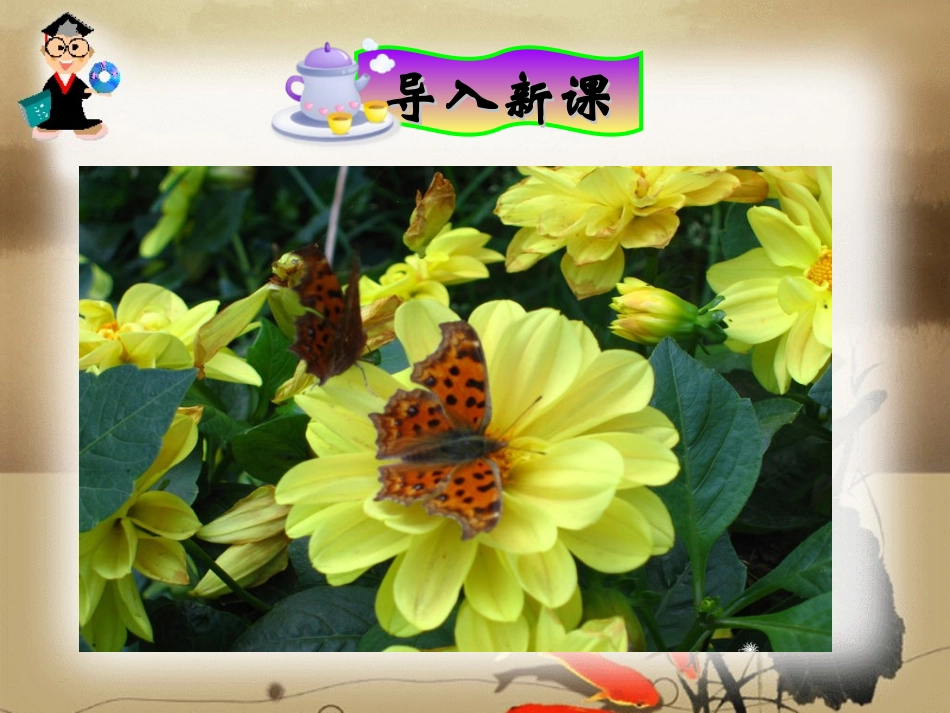 7彩色的翅膀 (2)_第1页