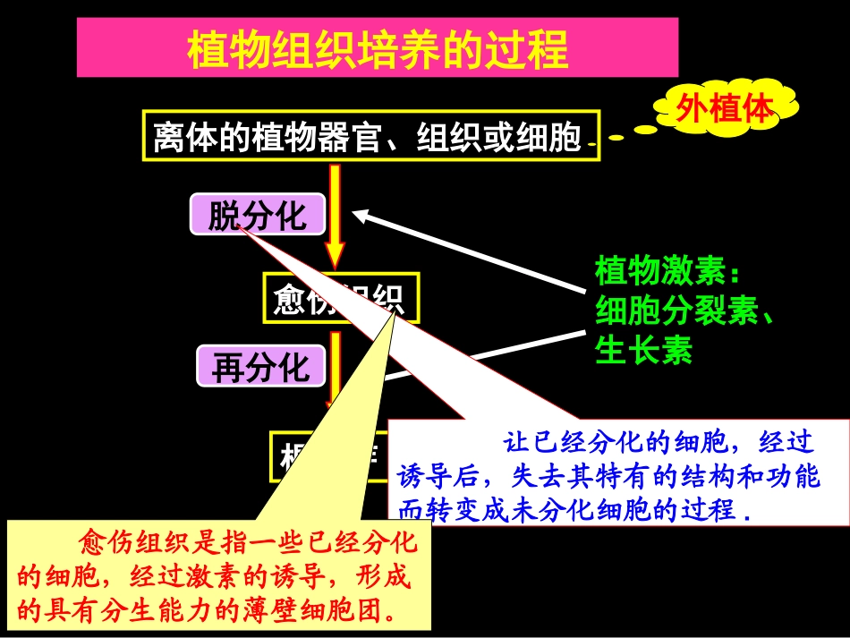动物细胞培养_第2页