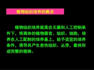动物细胞培养