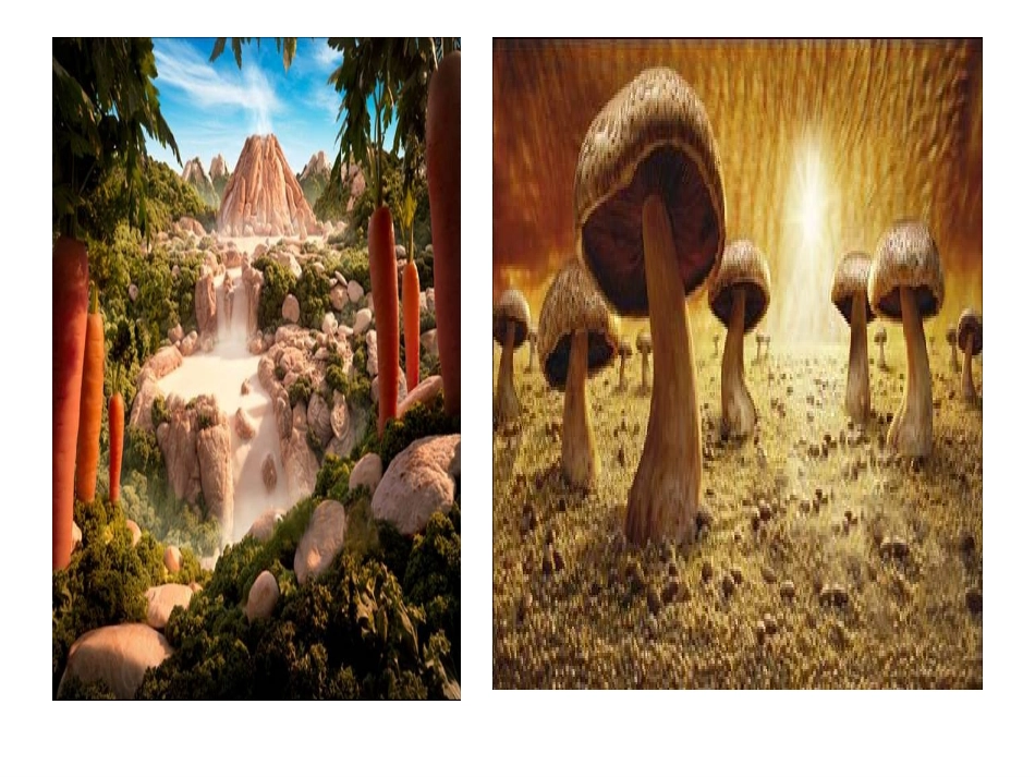 这个地方有点怪_第2页