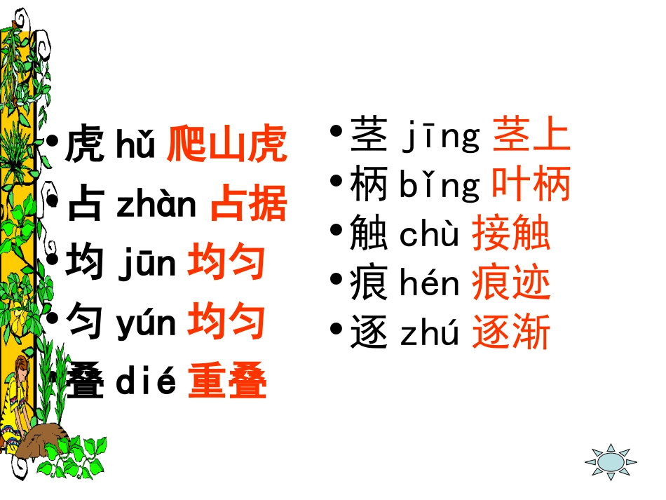 爬山虎的脚PPT_第2页