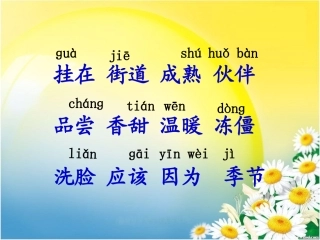 四个太阳桓珏