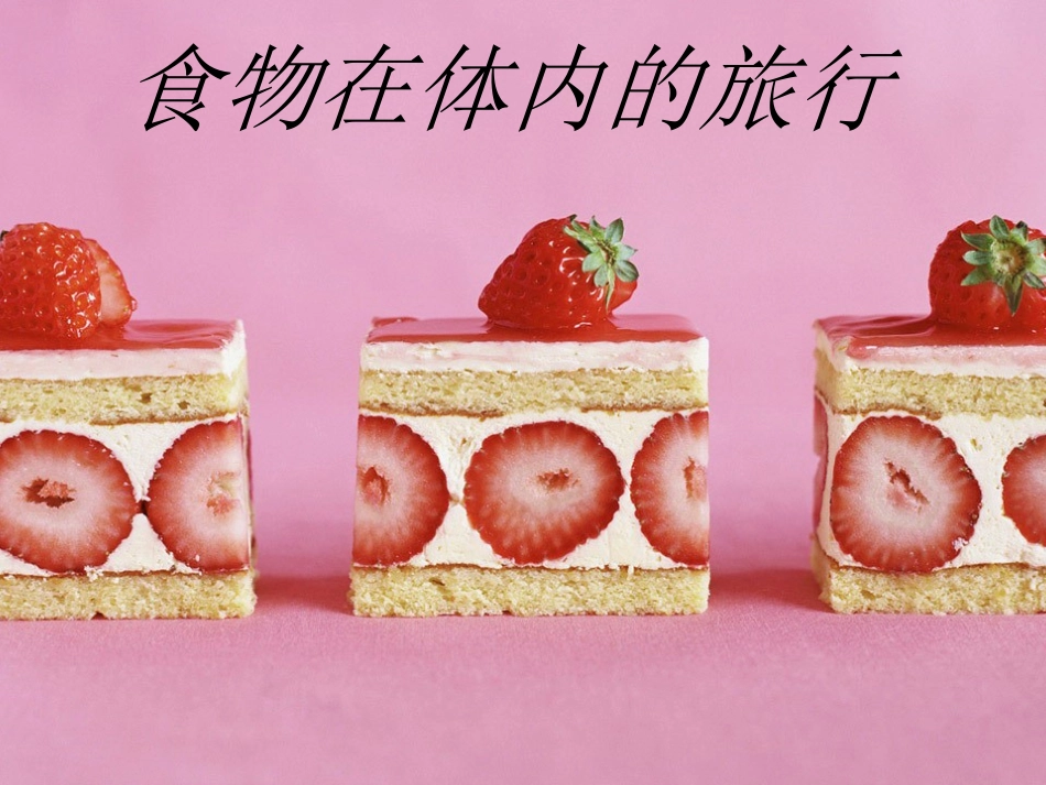 5食物在体内的旅行_第1页